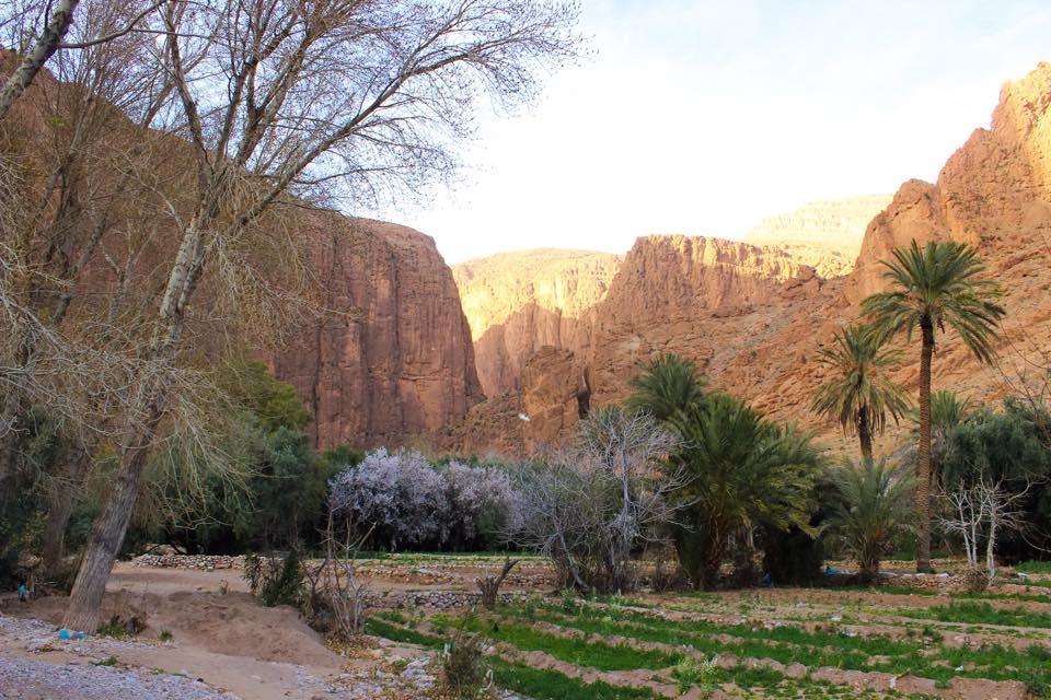 Dar Ayour Todra Gorges Aït Baha Eksteriør bilde